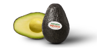 All About Avocados