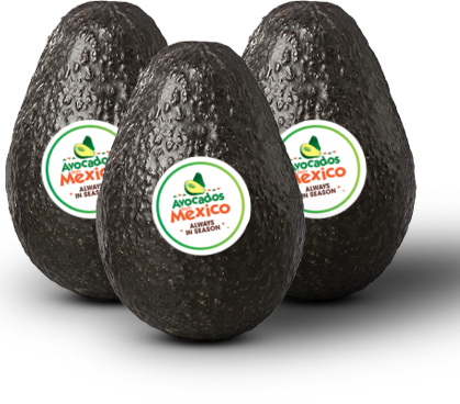 avavacados 3