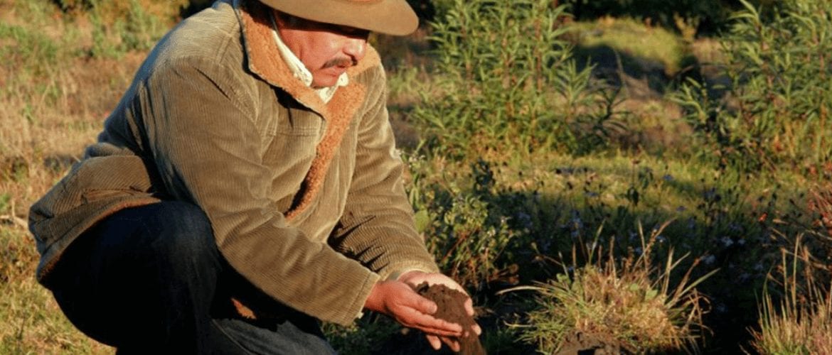 Avocados From Tree to Table