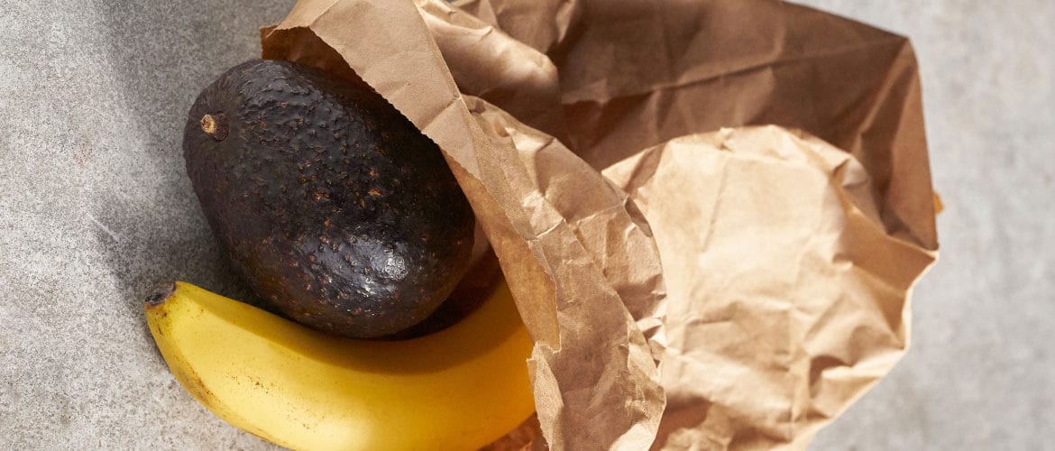 Avocado Science Fair Projects