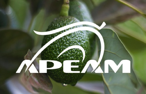 AVOCADO INDUSTRY WELCOMES JALISCO TO UNITED STATES MEXICAN AVOCADO IMPORTS